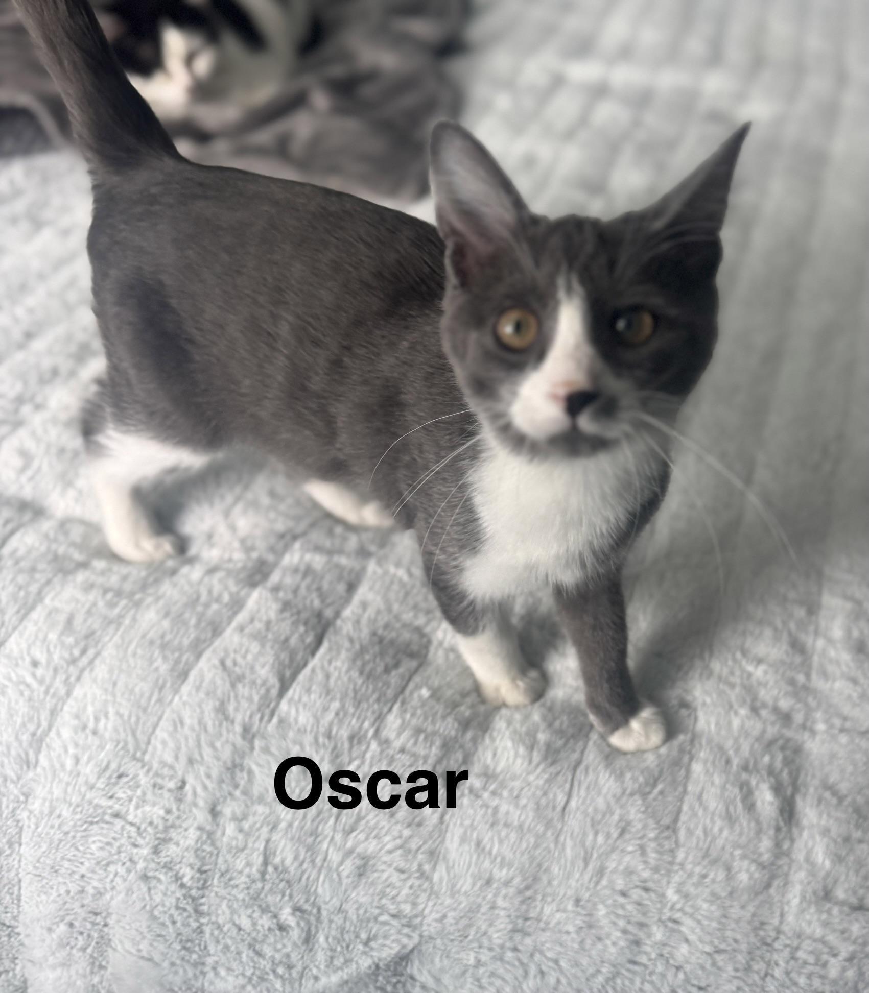 Oscar