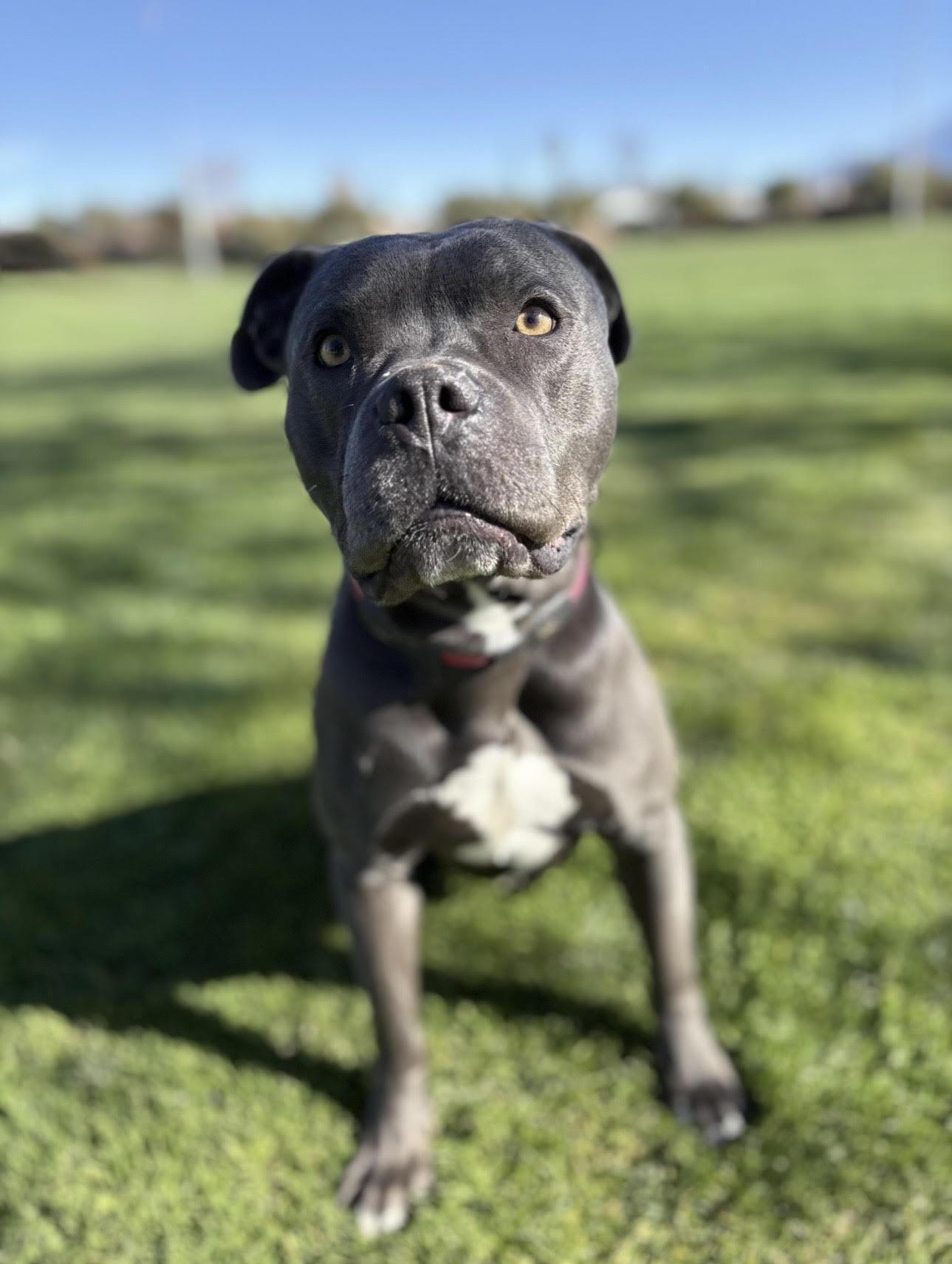 Jax Super Friendlyfamily