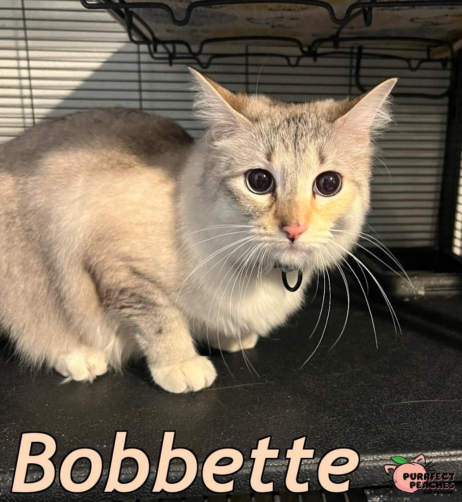 Bobbette
