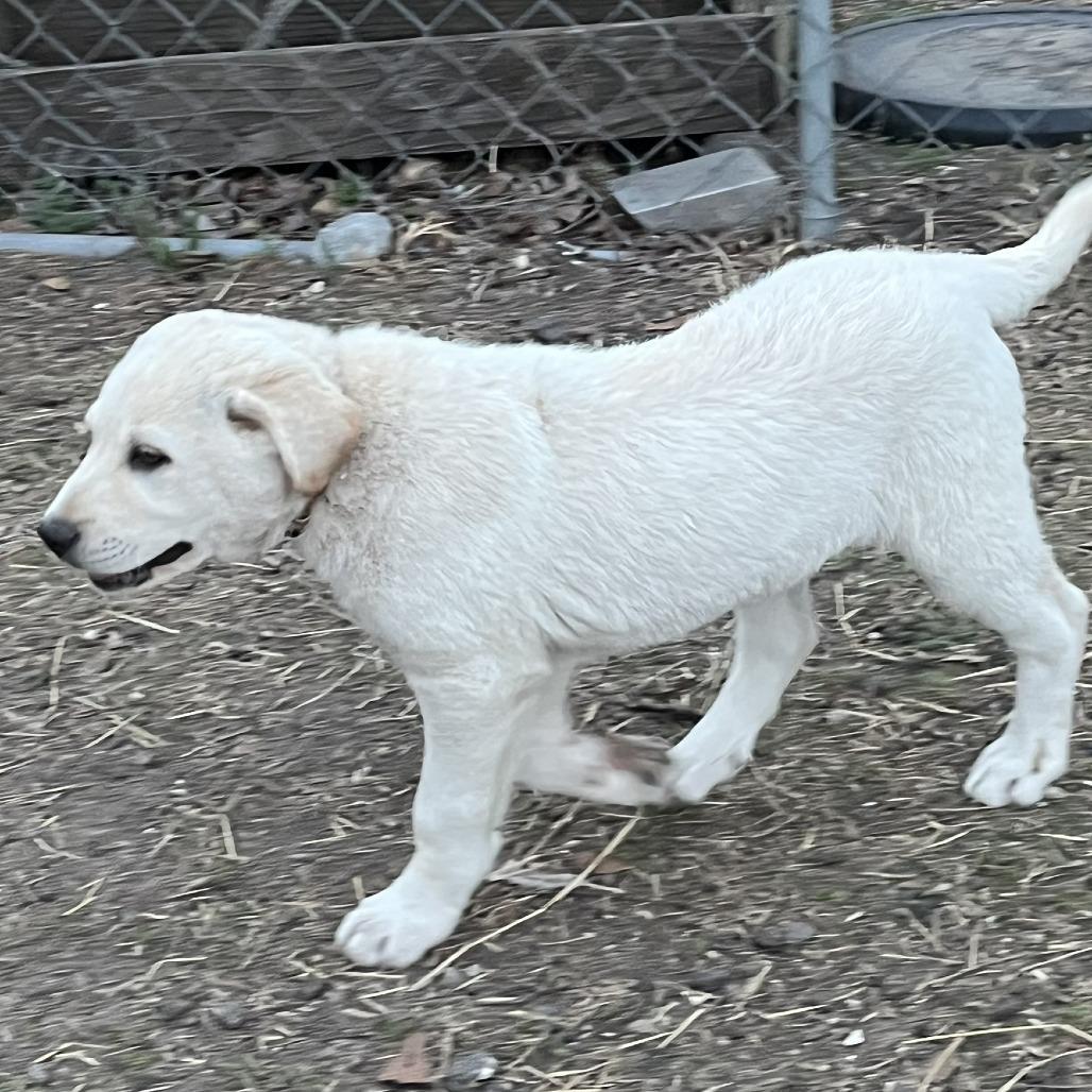 Judyhopps D Arriving