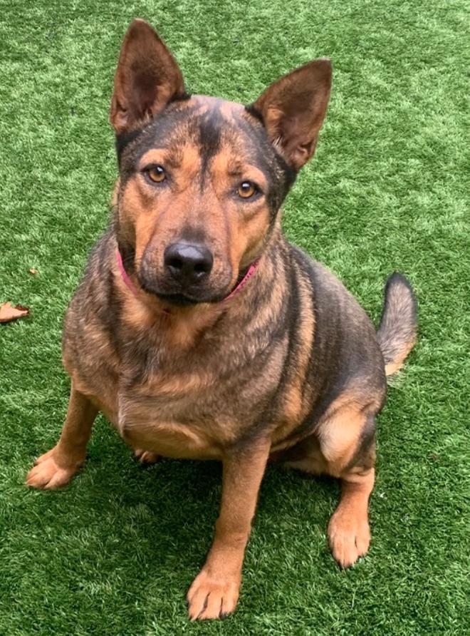 Brandy A Please Don't