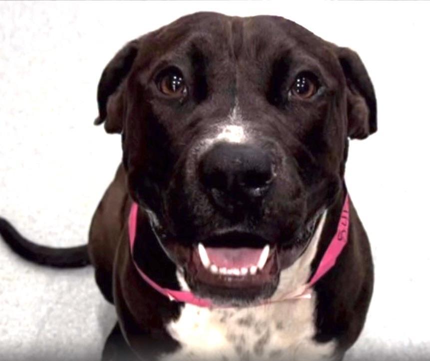 Please... I Don't Want