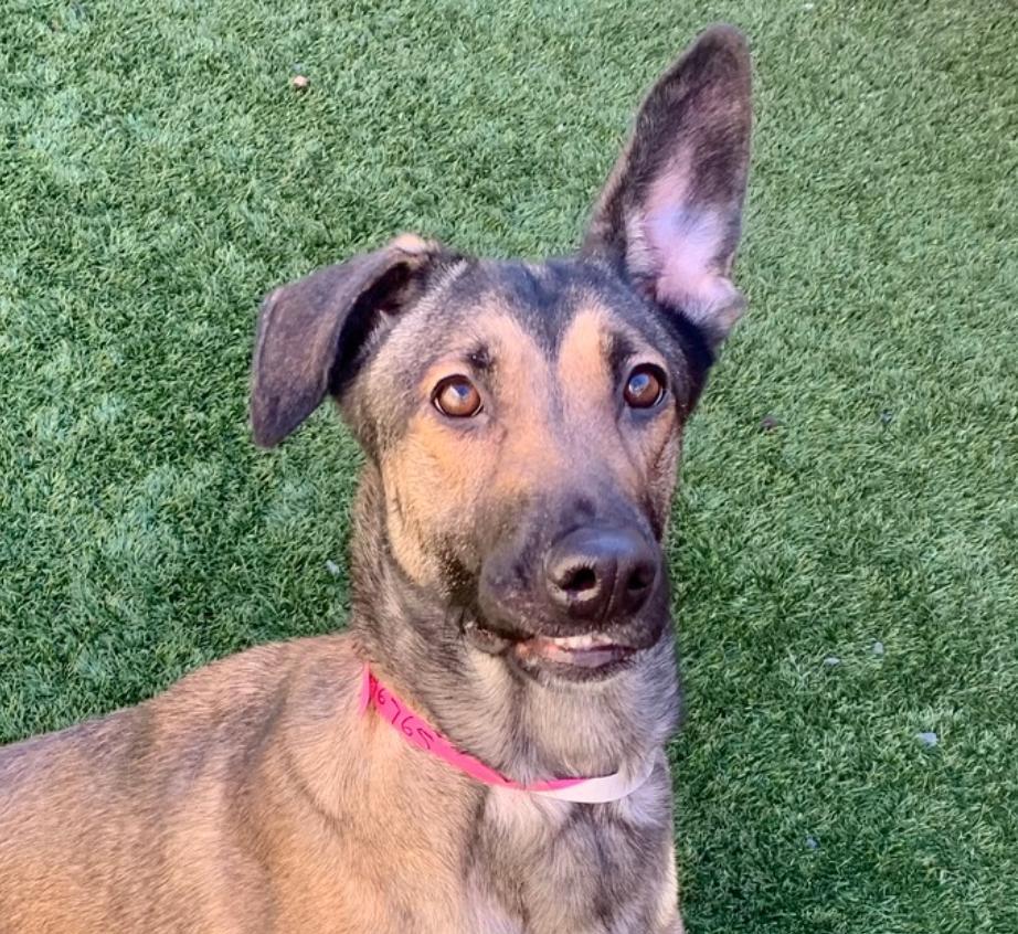 Please... I Don't Want