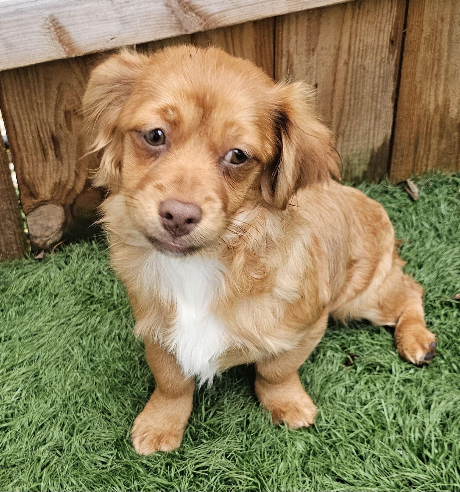 Mina Such A Sweetie!