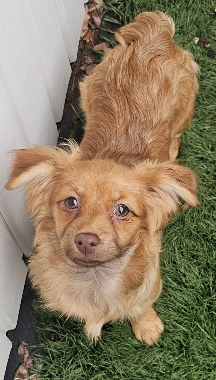 Leena Your Little Shadow