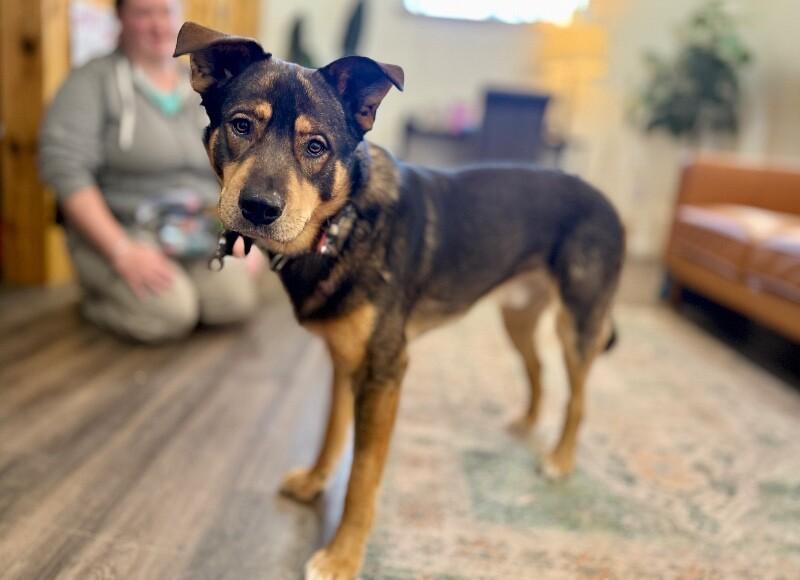 Bruce All Mighty The