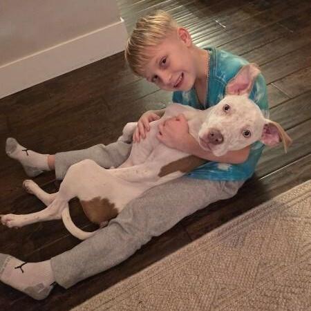 Flynn Family Fun Wanted