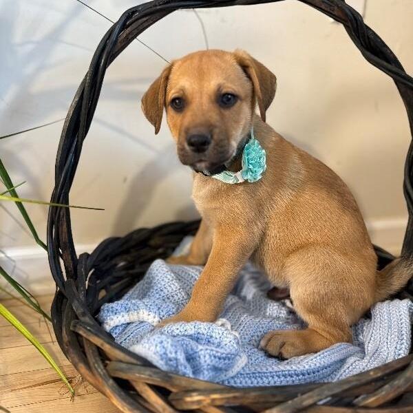 Jacque The Silly Guy