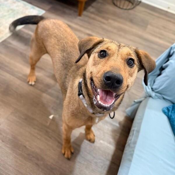 Perfect Pippa With The