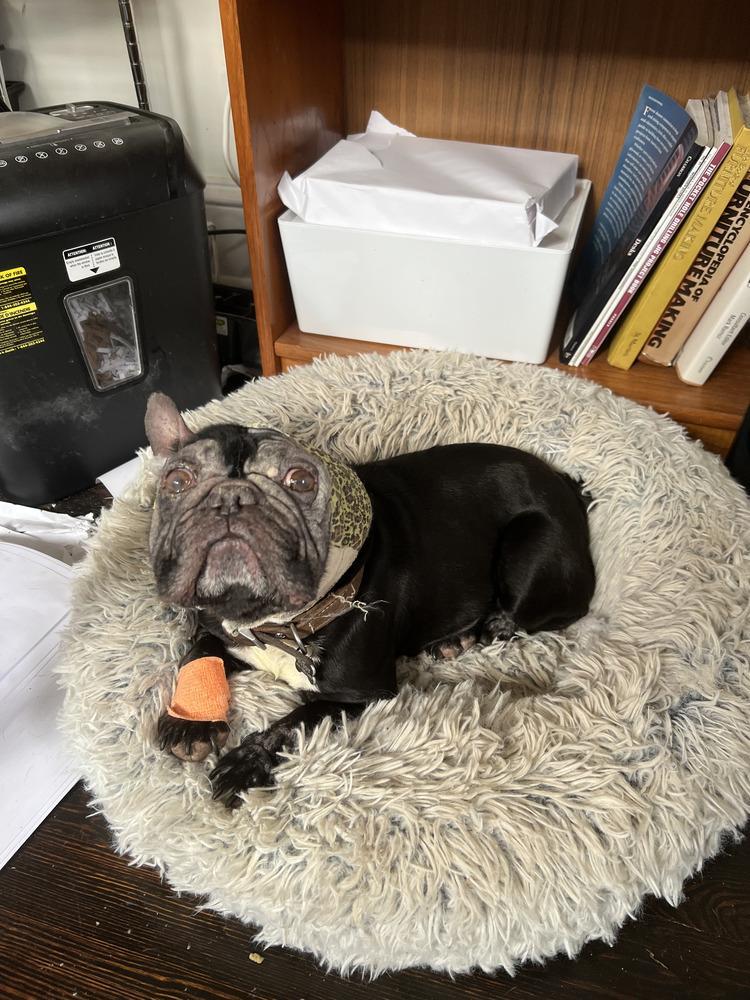 Jewel Gibson Atlanta