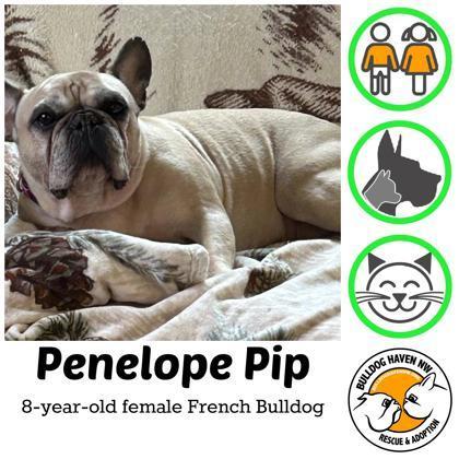 Penelope Pip