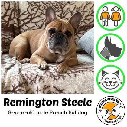 Remington Steele