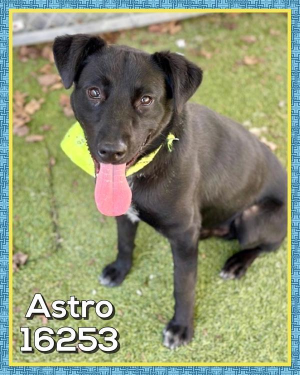 Astro
