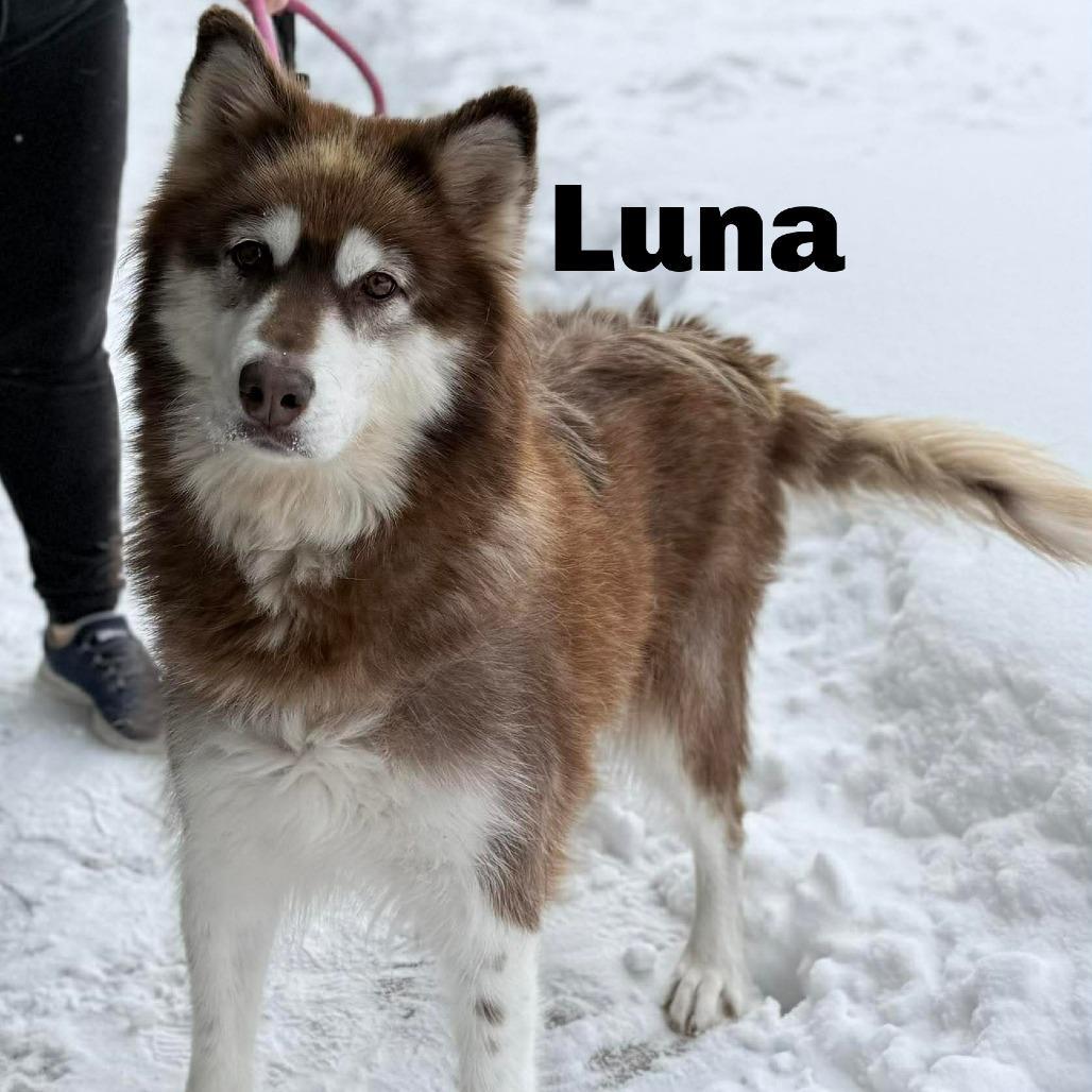 Luna