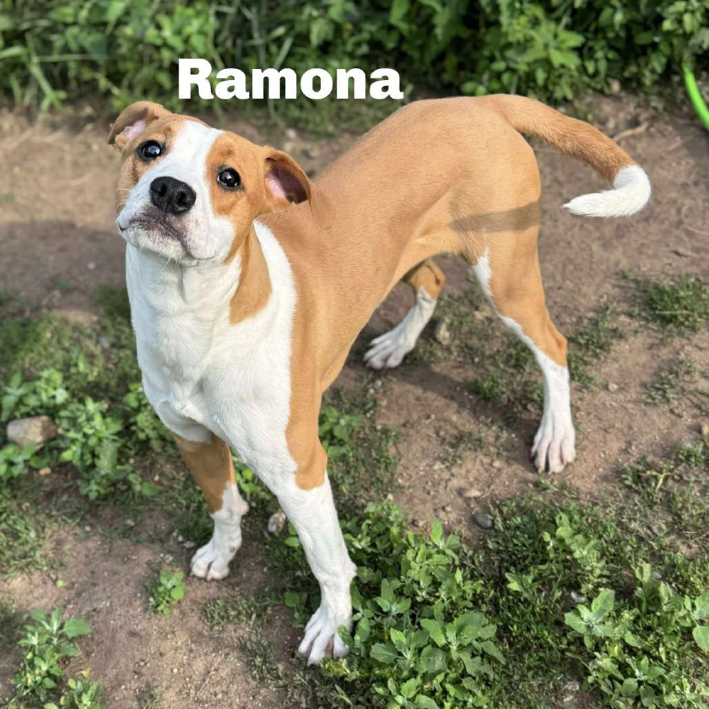 Ramona