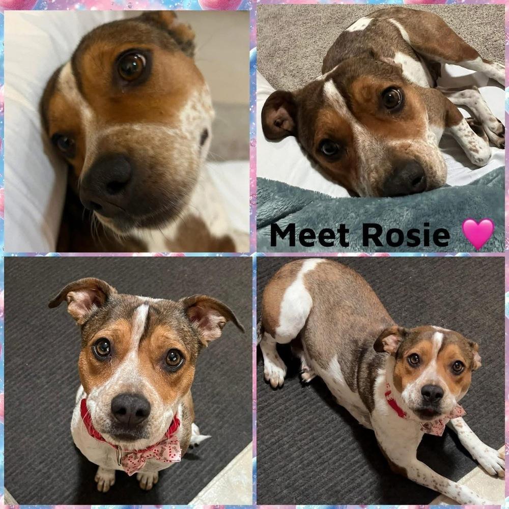 Rosie