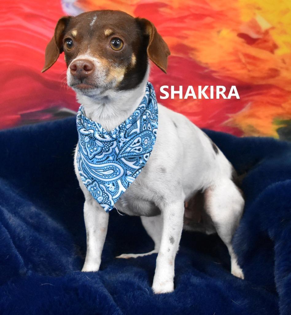 Shakira