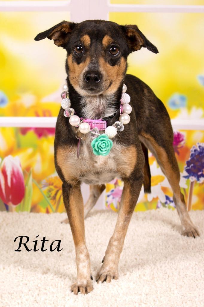 Rita
