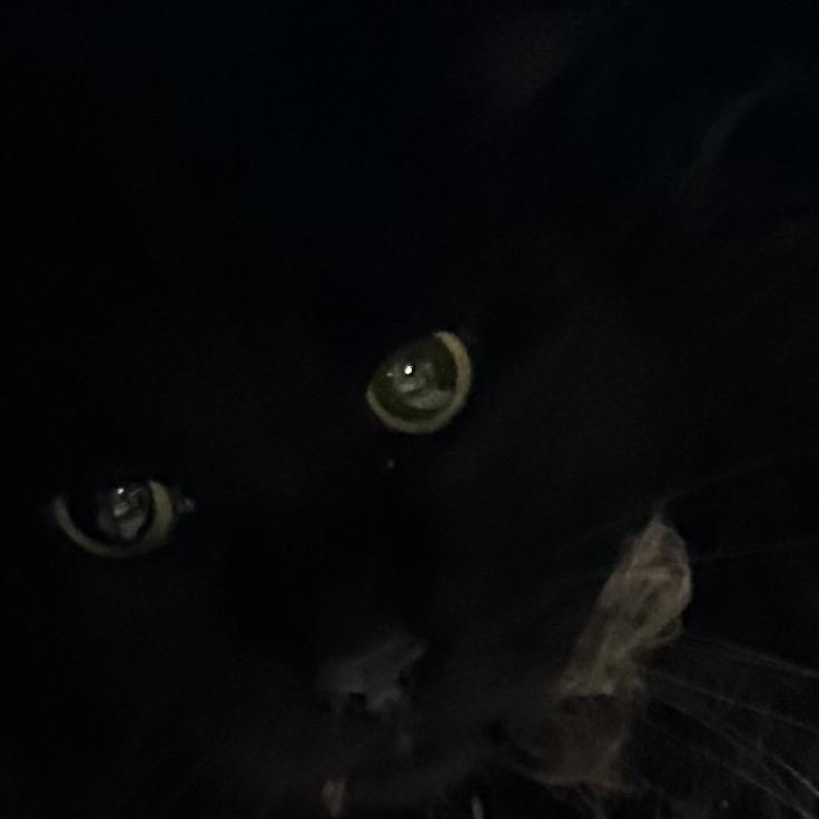 Phantom Bonded W Ardo