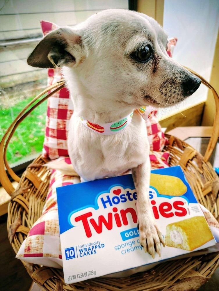 Twinkie