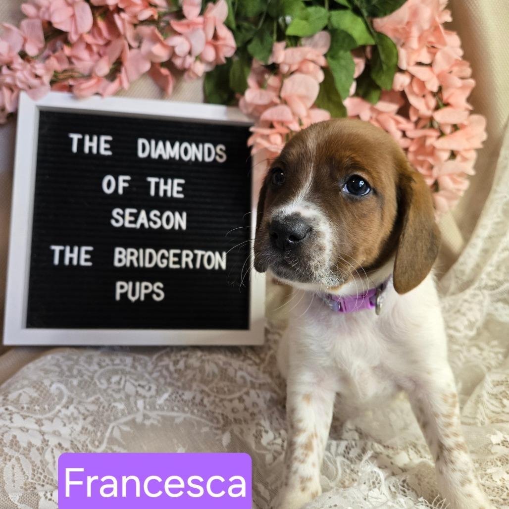 Francesca
