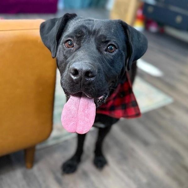 Finn Fun Loving Family