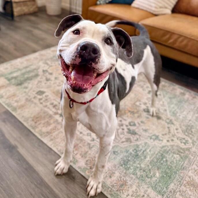 Georgie Smiles With The