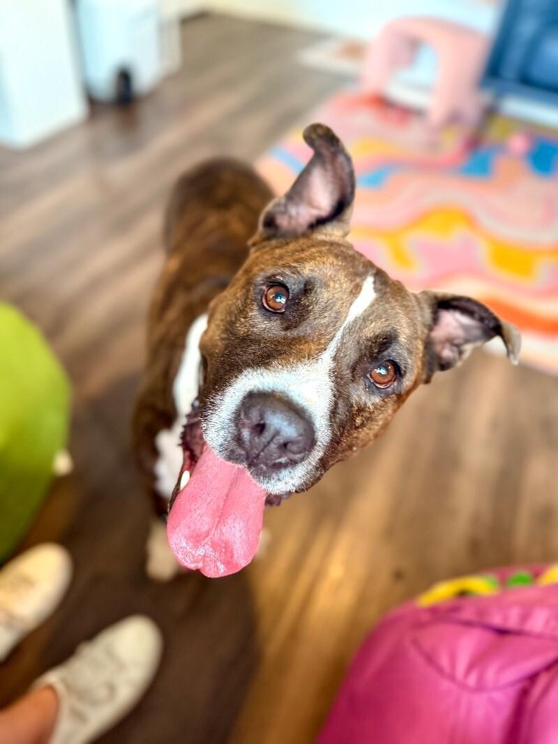 Lucky Bubby So Squishy