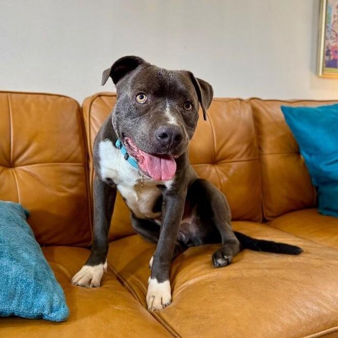 Mclovin Cuddles Comes With