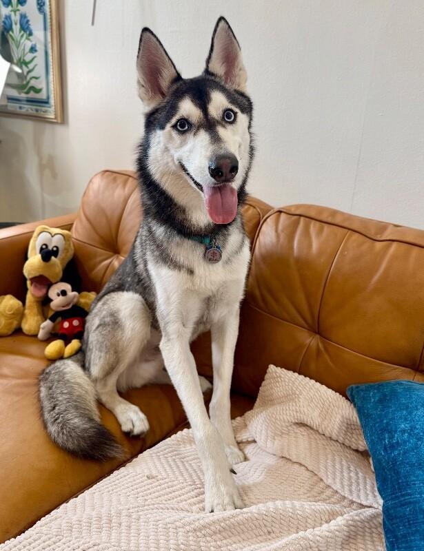 Ranger Roo The Coolest