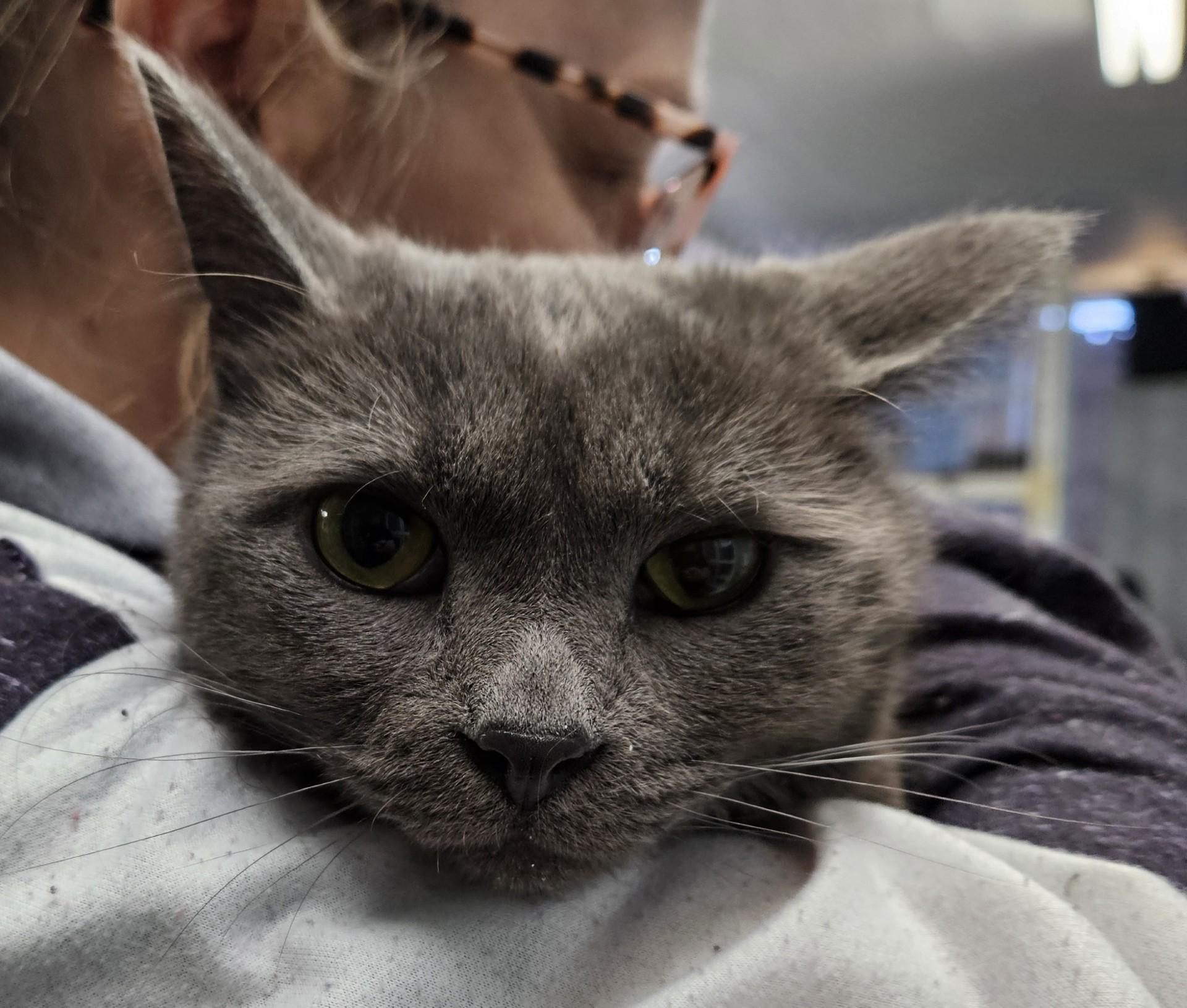 Luv Bug & Sweetheart