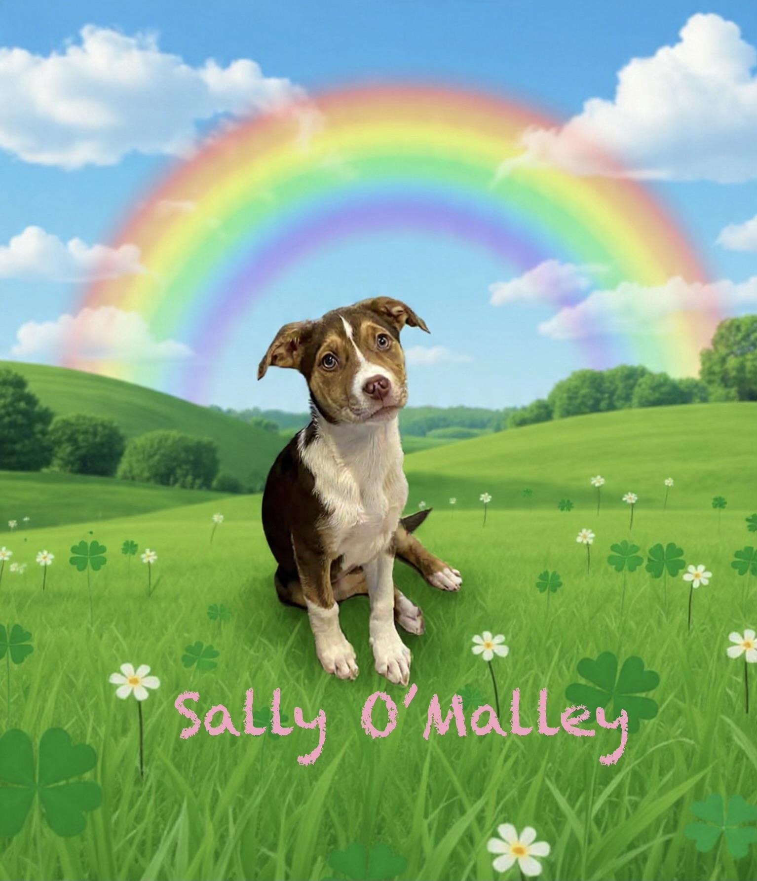 Sally O’malley