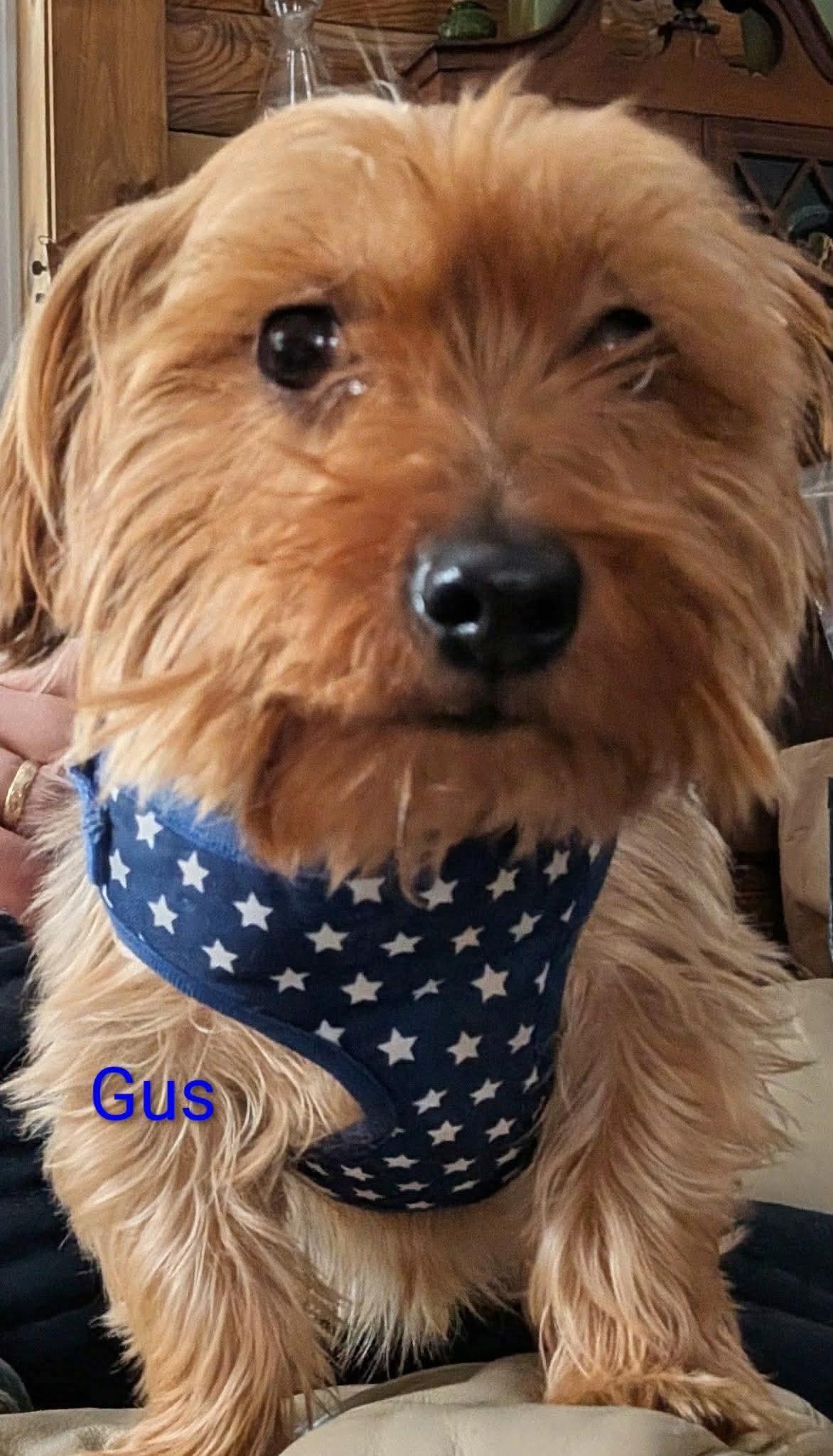 Gus