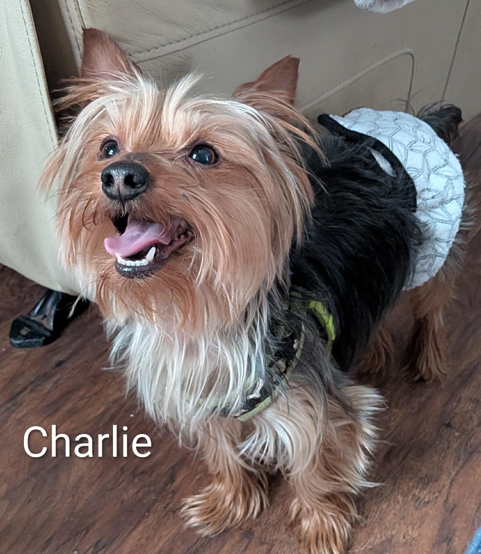 Charlie