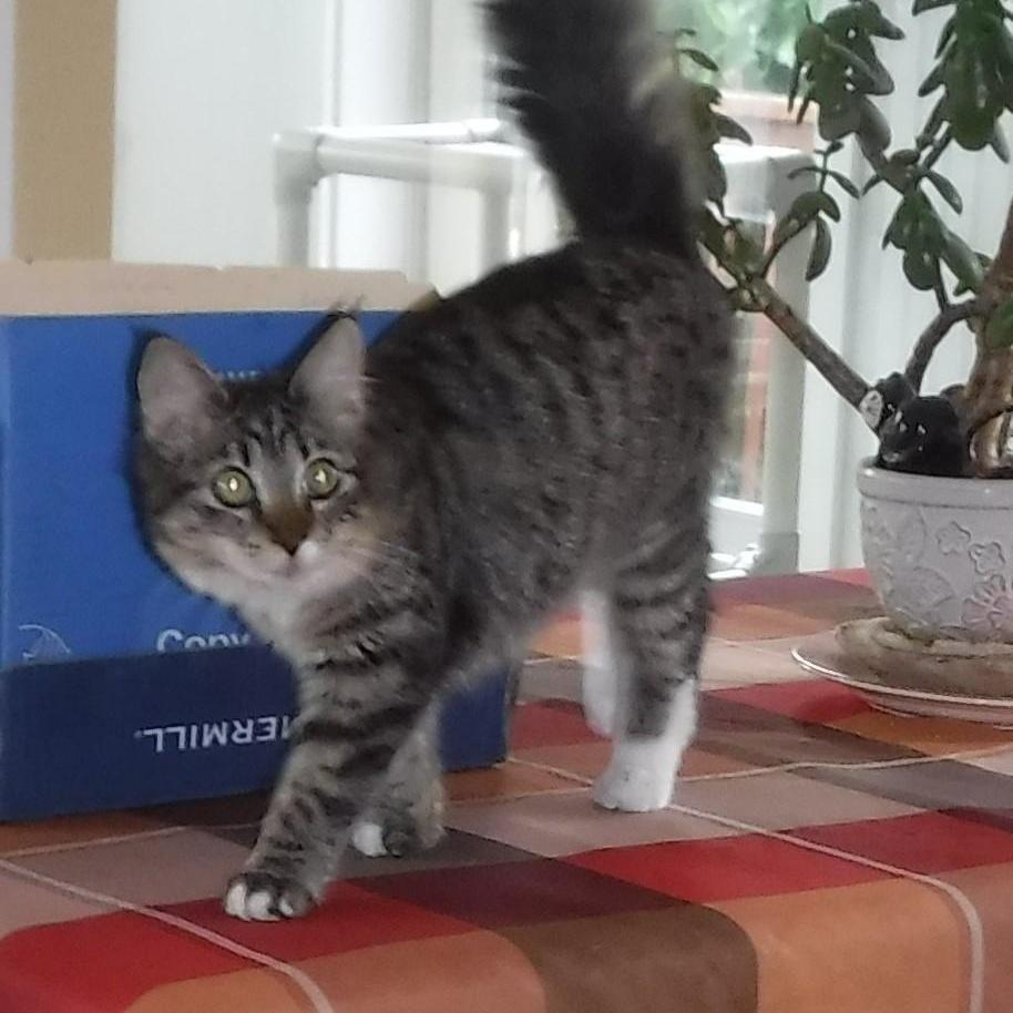 Marcia Super Affectionate