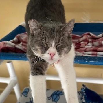 Rizzo Social & photo 1