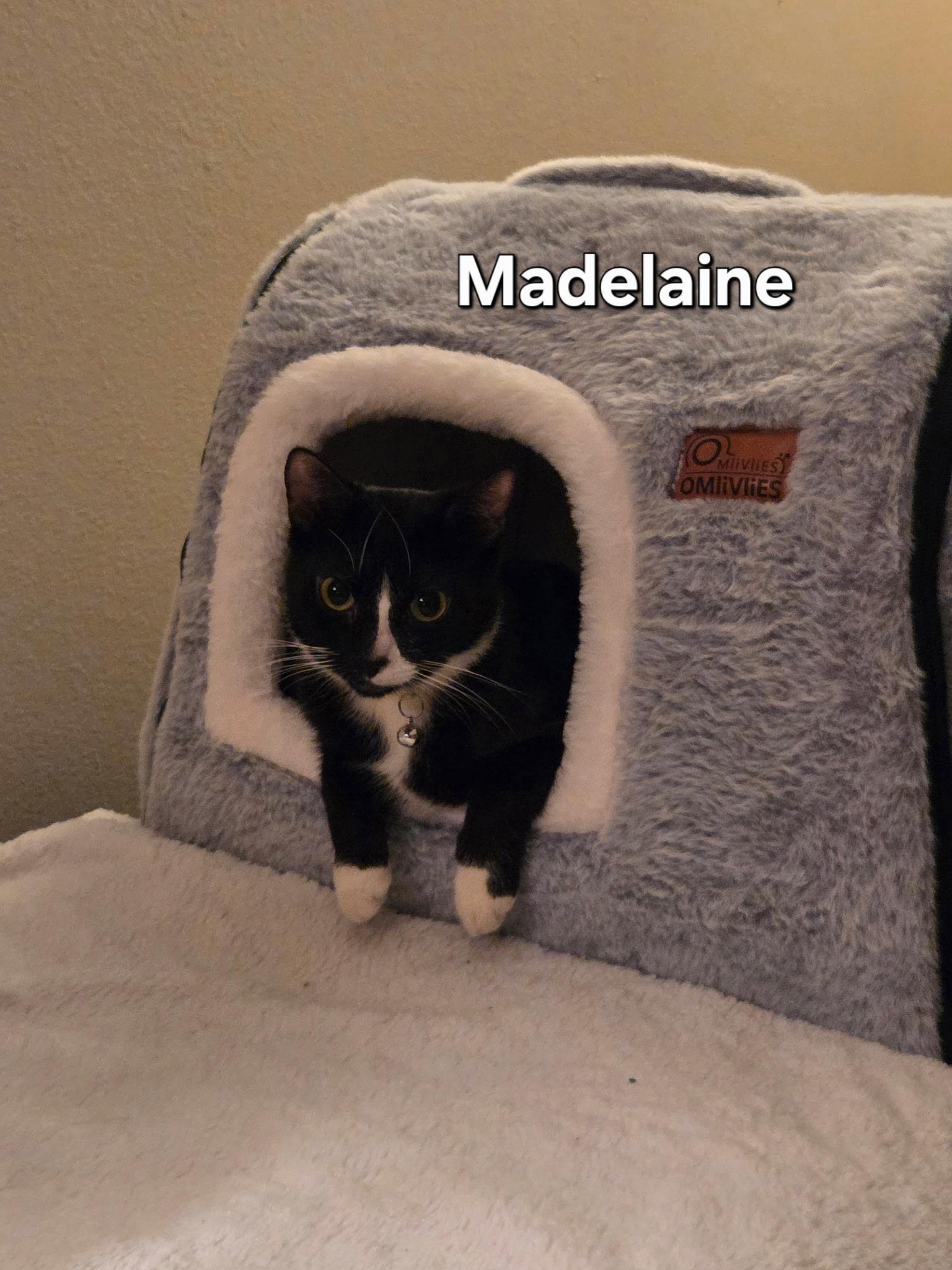 Madelaine