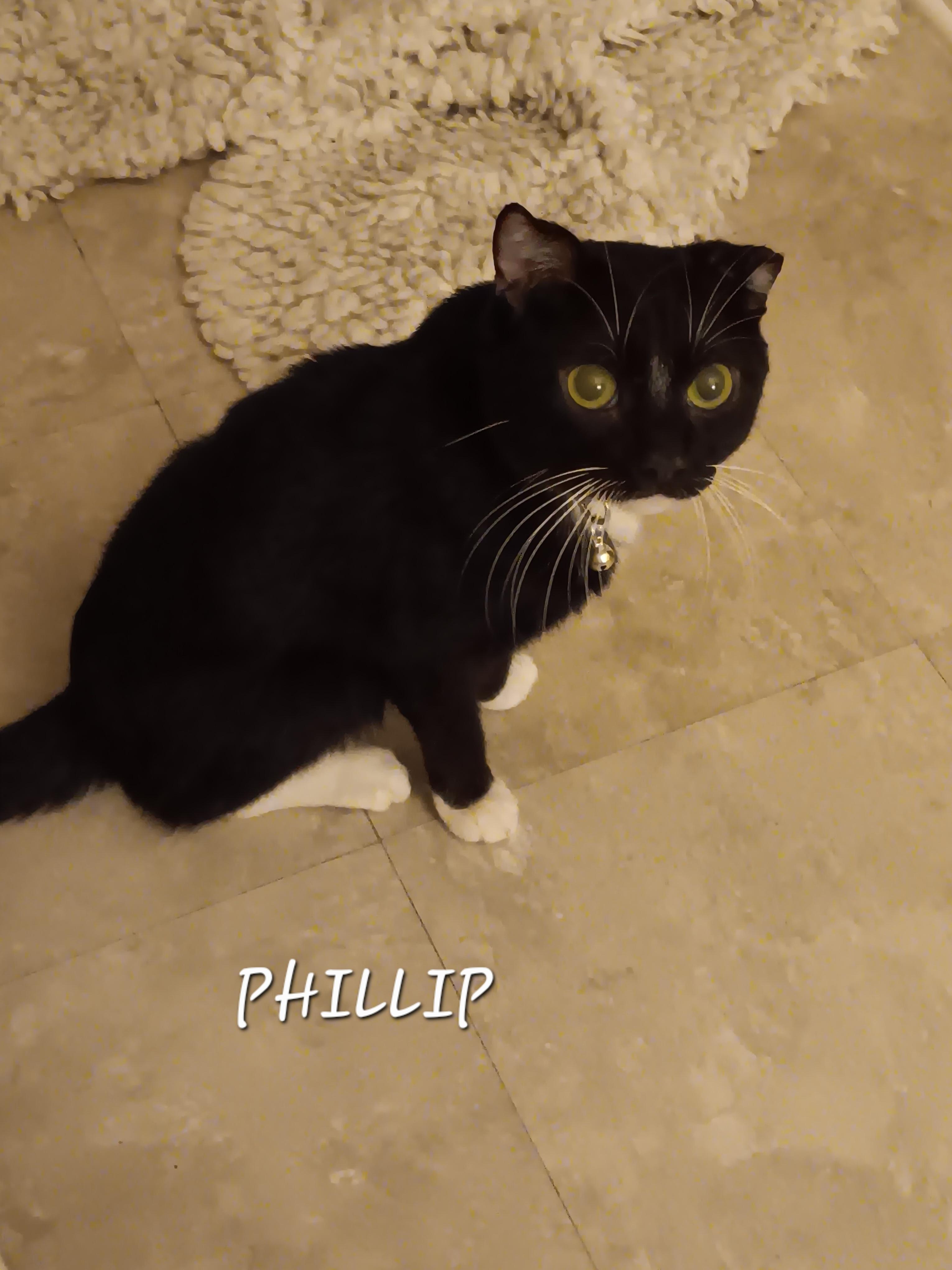 Phillip