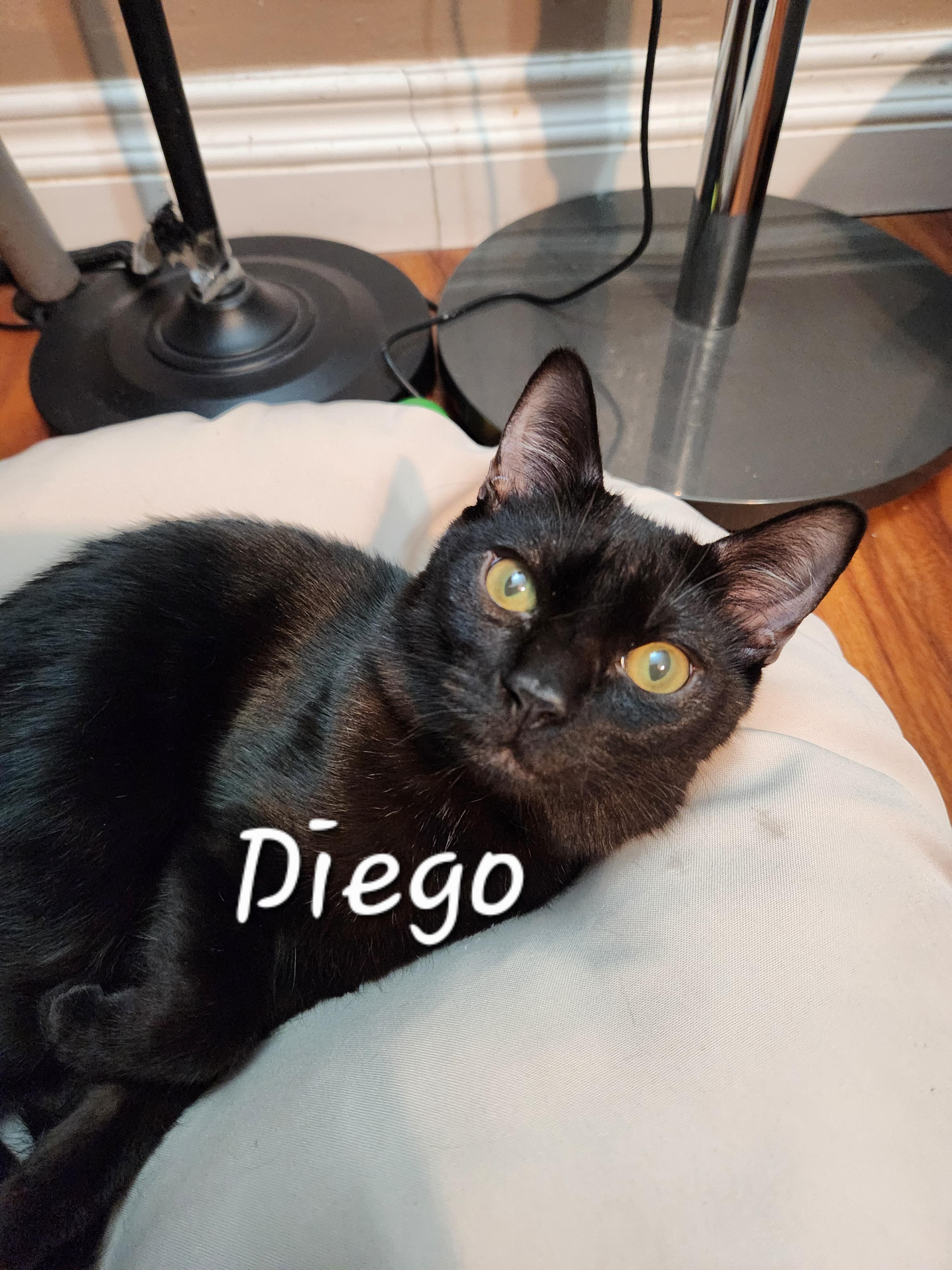 Diego