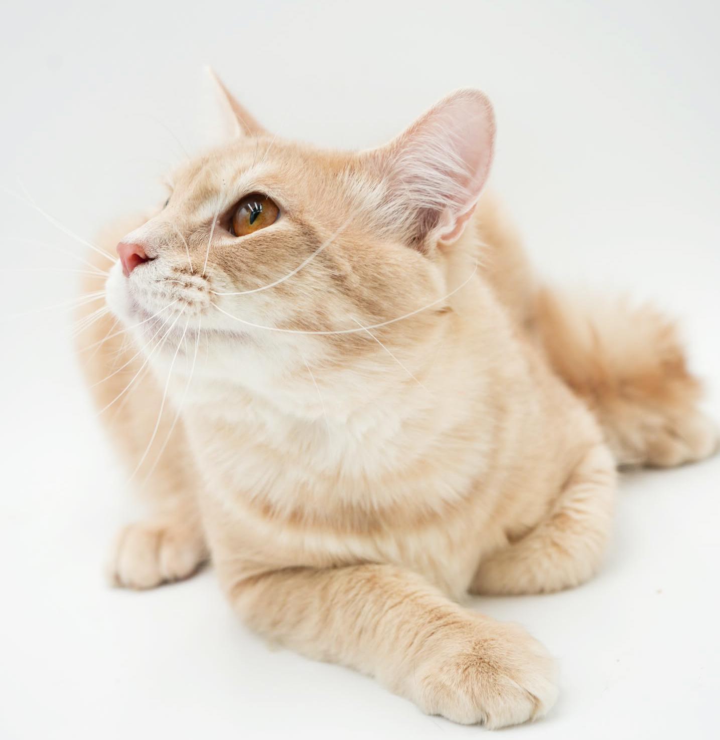 Skipper Is Just Bubbling