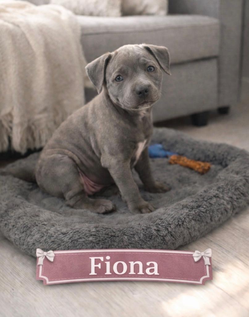 Fiona