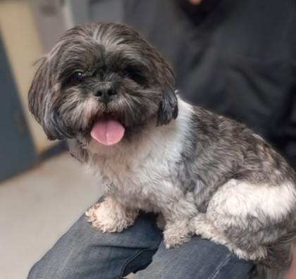 Molly No Longer Taking