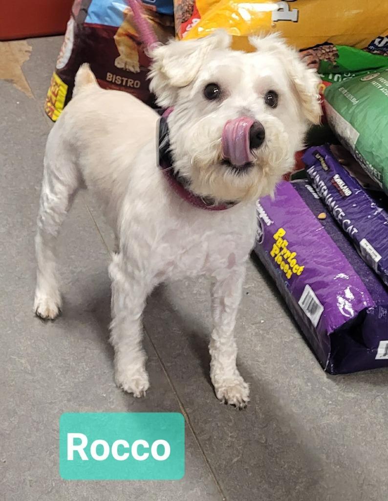 Rocco