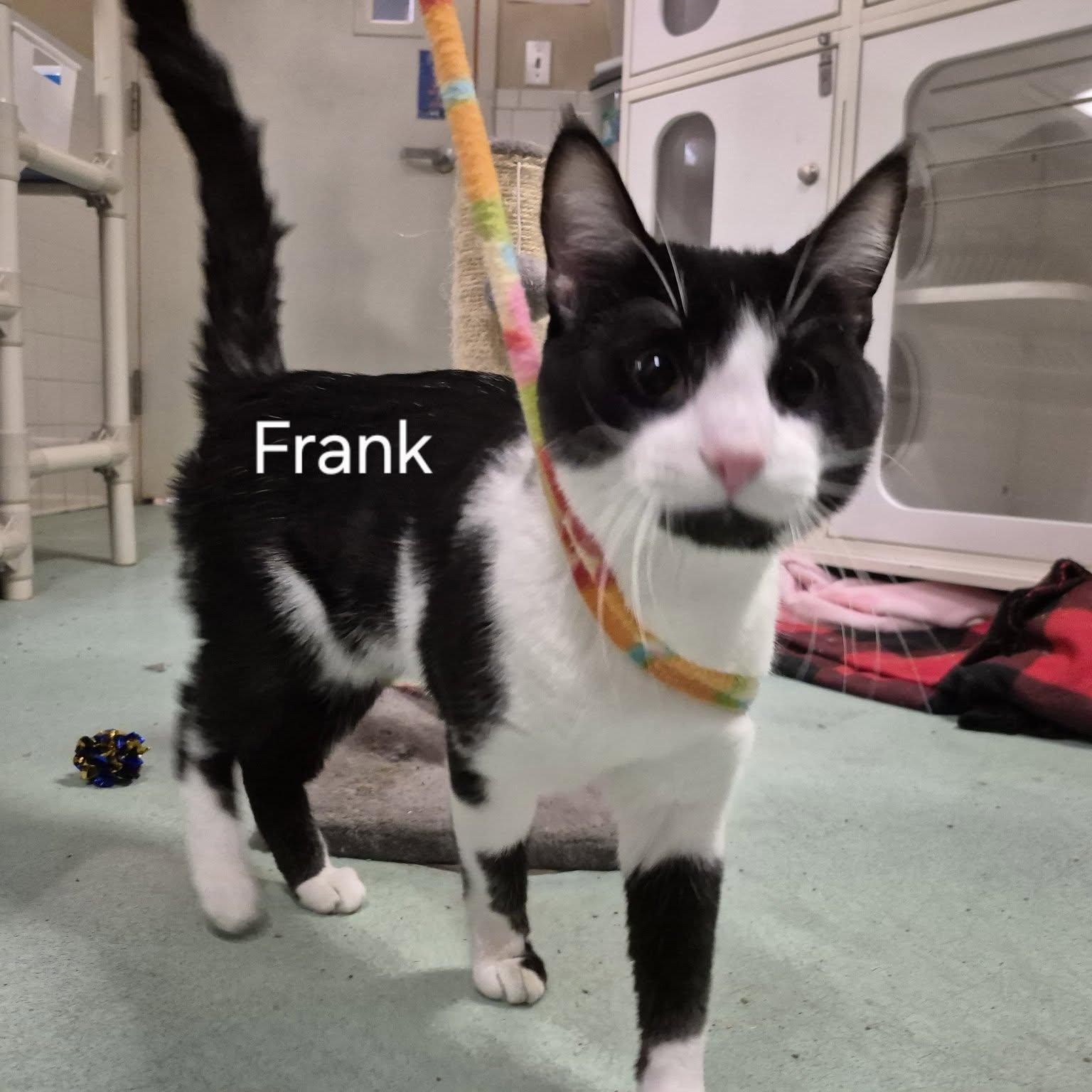 Frank
