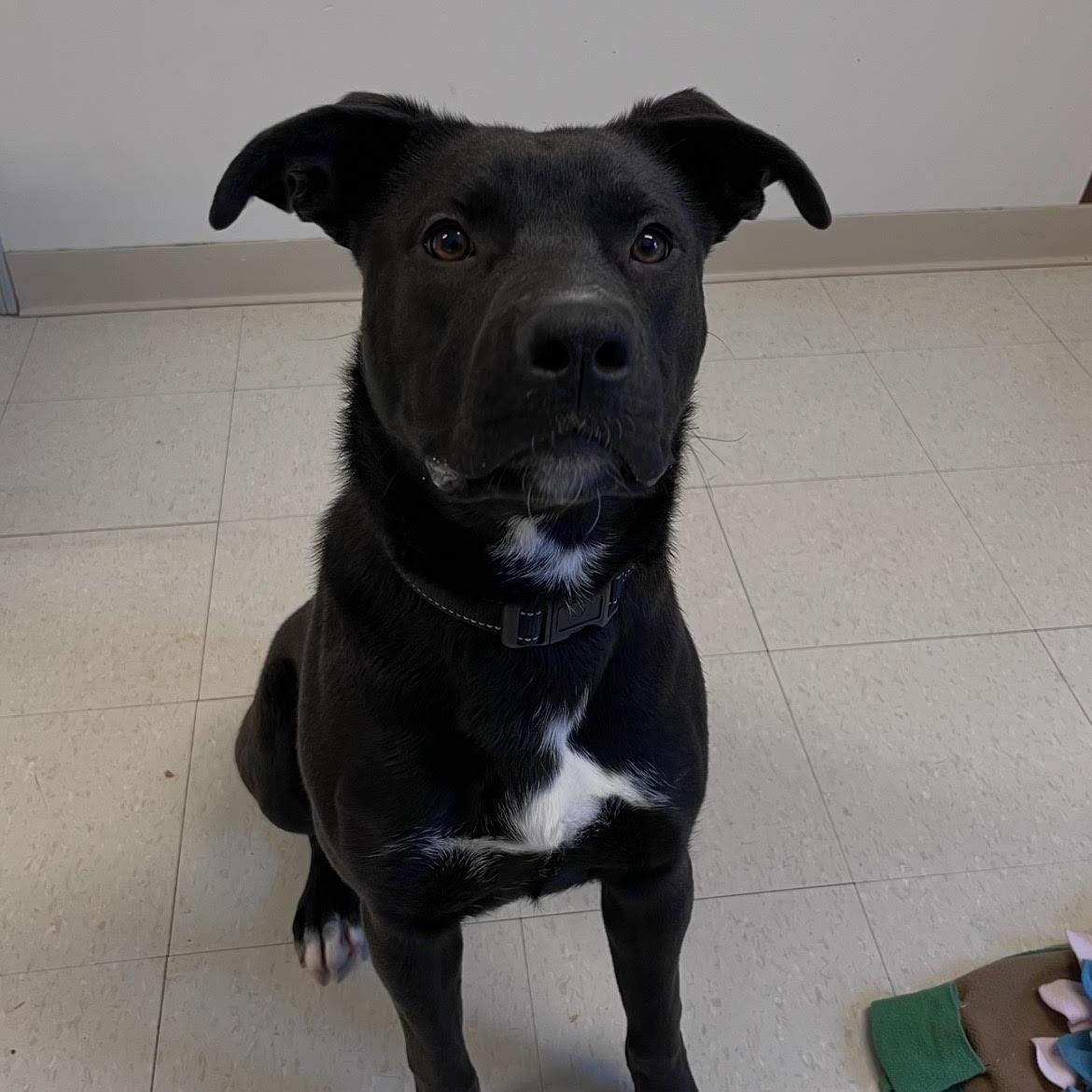 Cinderella Prison Training