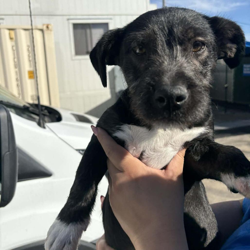 Vader City Of Industry photo 1