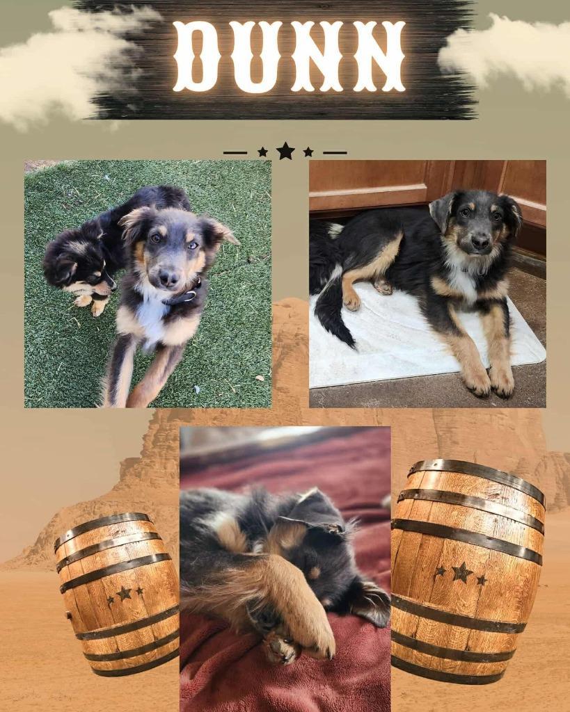 Dunn