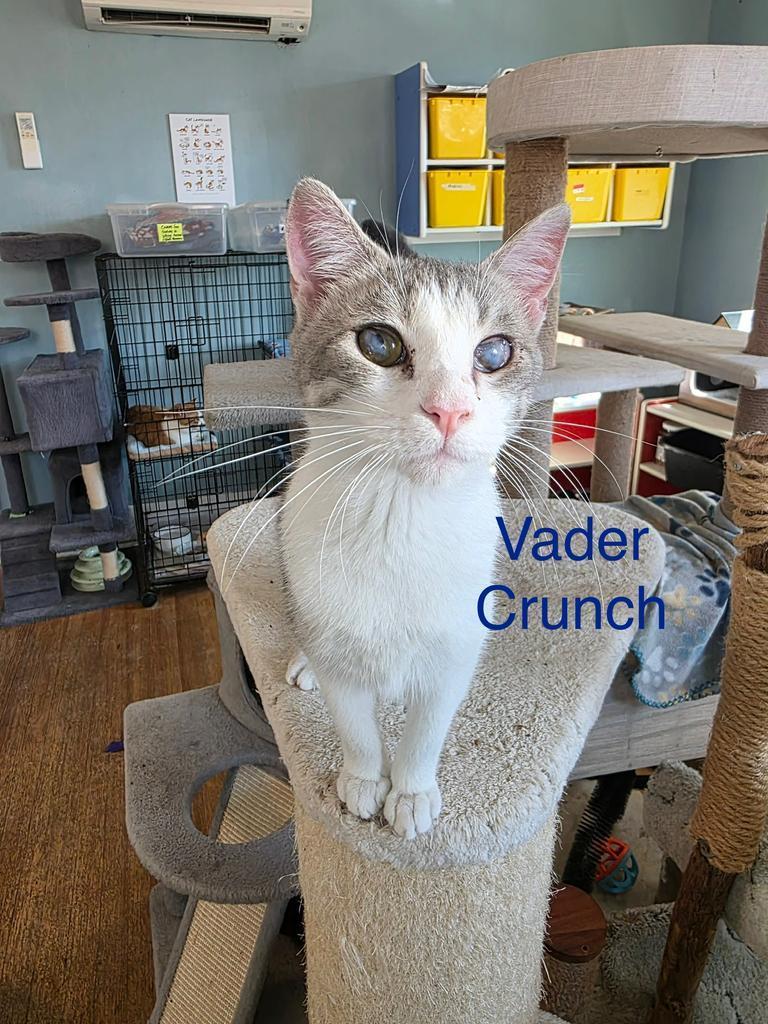 Vader Crunch