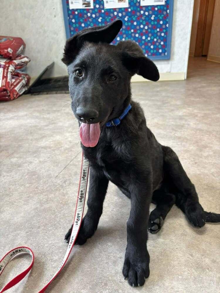 Zero Located In Colorado