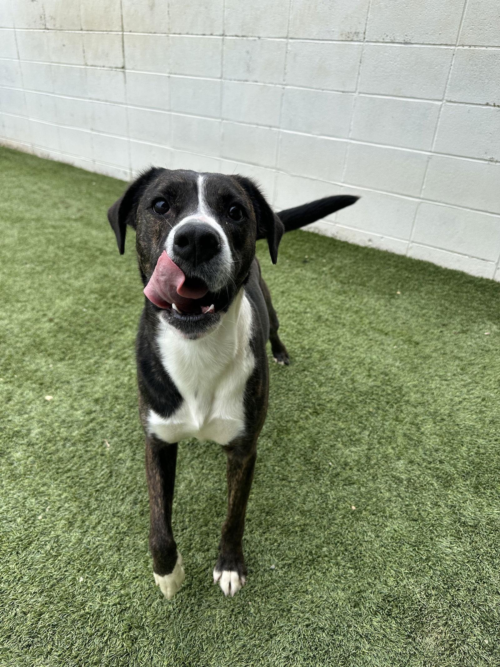 Lowery Dixon photo 1